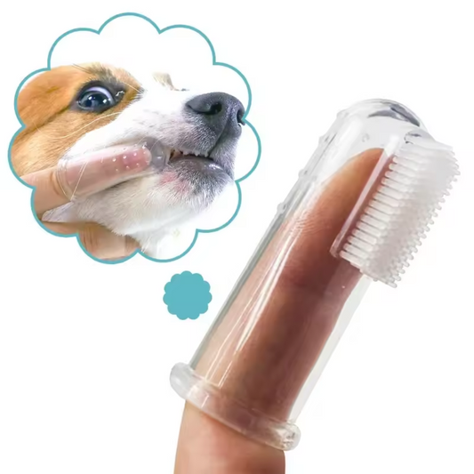 Cepillo de Dientes Profesional